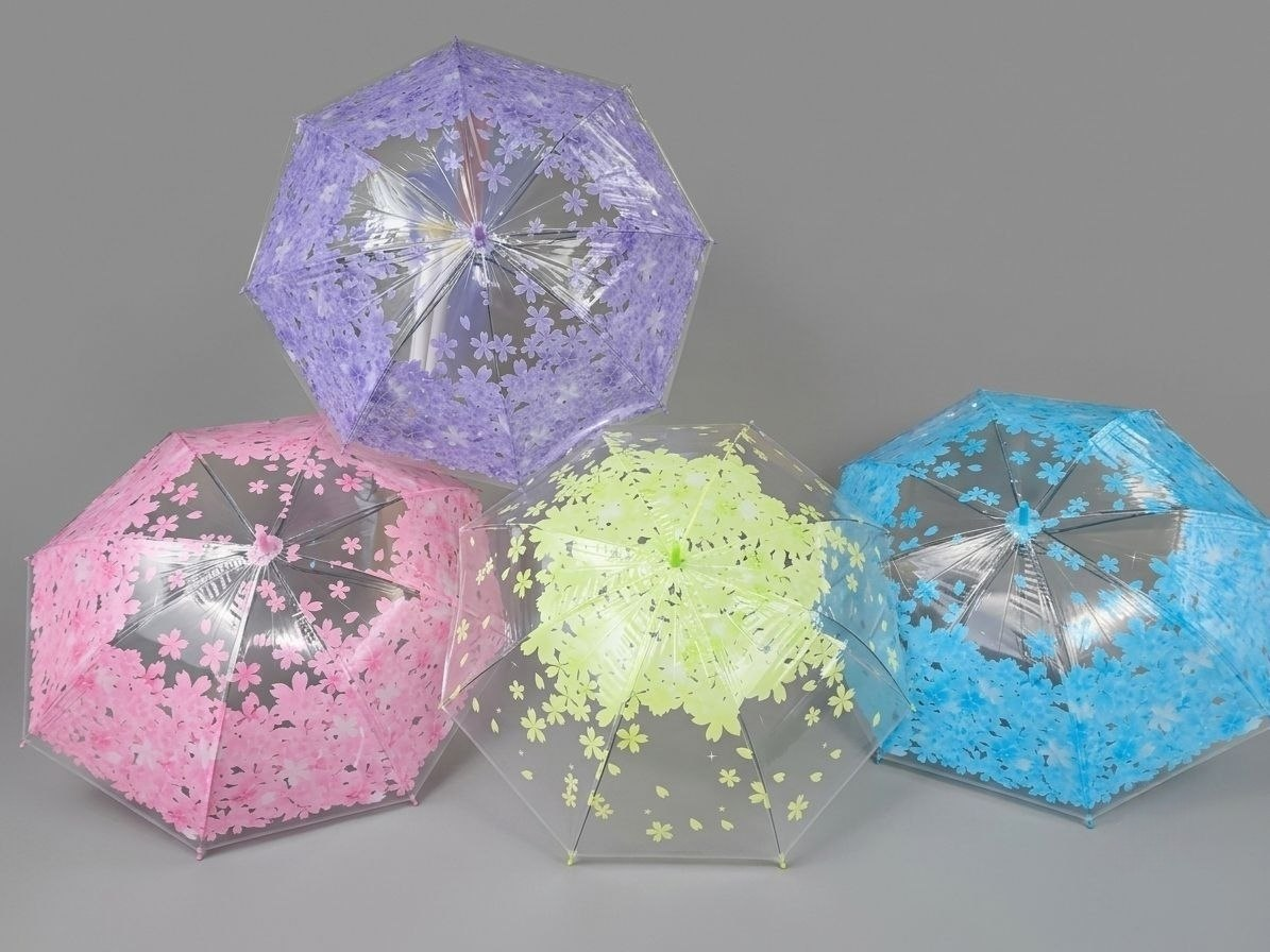 Transparent Umbrella with Floral Print